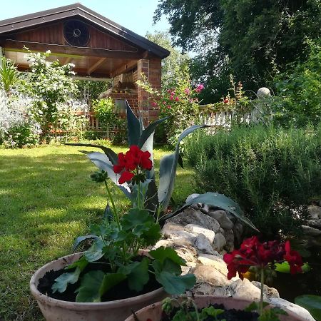 Apartment Cajt Umag Exterior foto