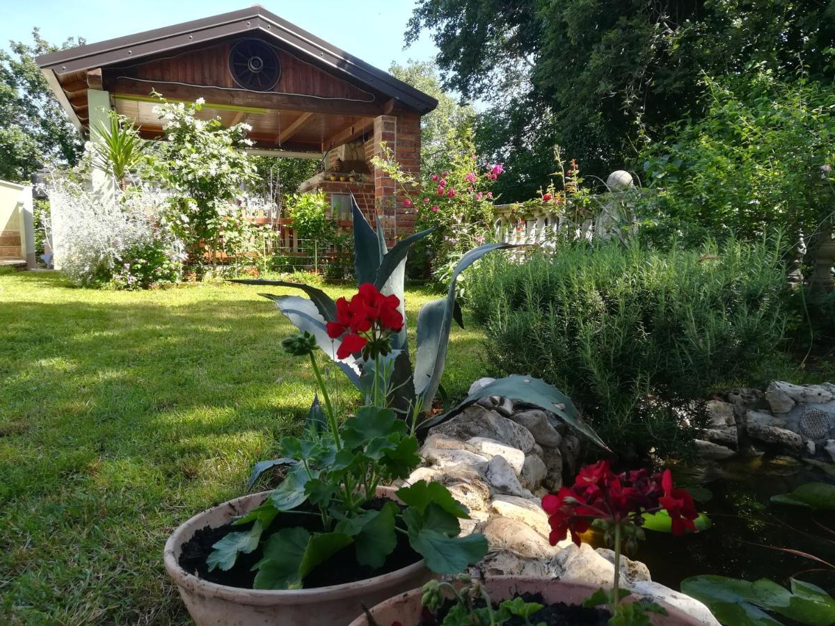 Apartment Cajt Umag Exterior foto
